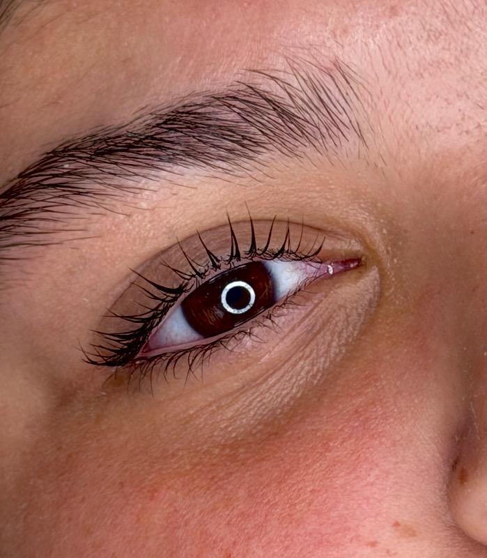 ריסים אשקלון - Anastasia | Brows Lashes