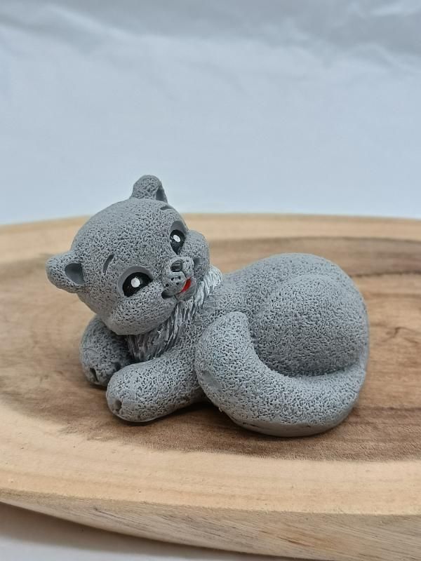 Kitty - magic shop