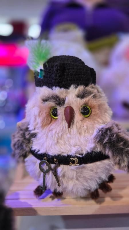 Pirate Owl - Dina Yanshuf