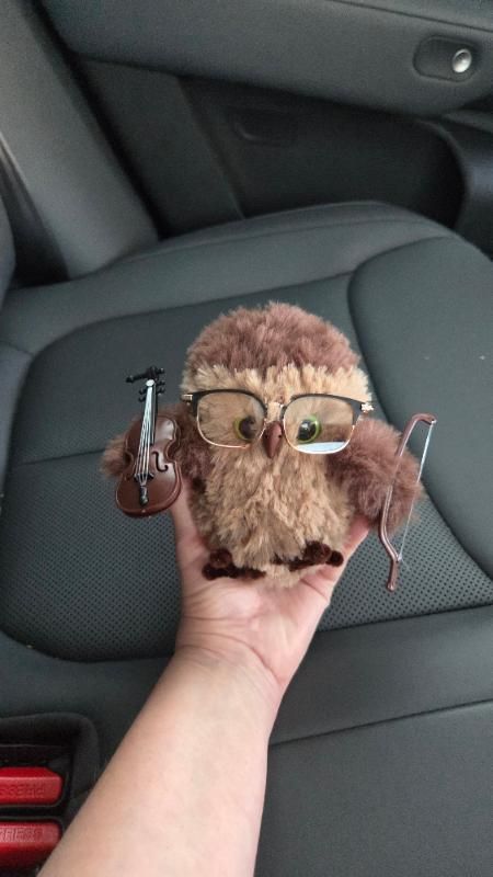 Yiddish Fiddler Owl Moni - Dina Yanshuf