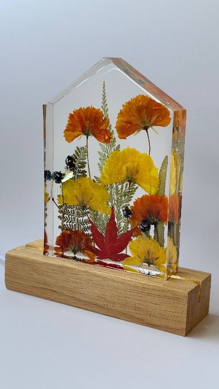 House Lamp - Art Ivanka 